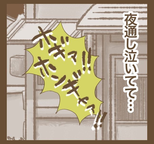 里帰り出産したら実姉がしんどかった件／ねぼすけ