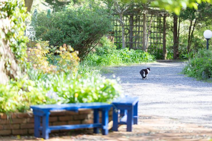「ドリプレ・ローズガーデン」庭園