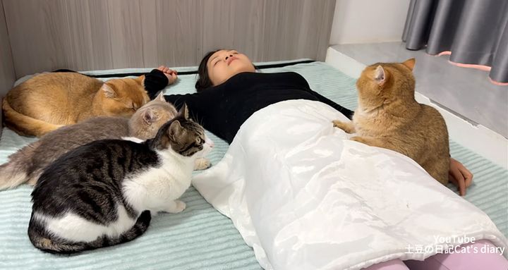 飼い主さんに寄り添う猫達