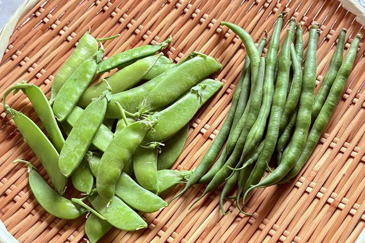 似たような姿の豆科の野菜、区別できる？