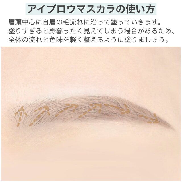 アイブロウマスカラの使い方 解説