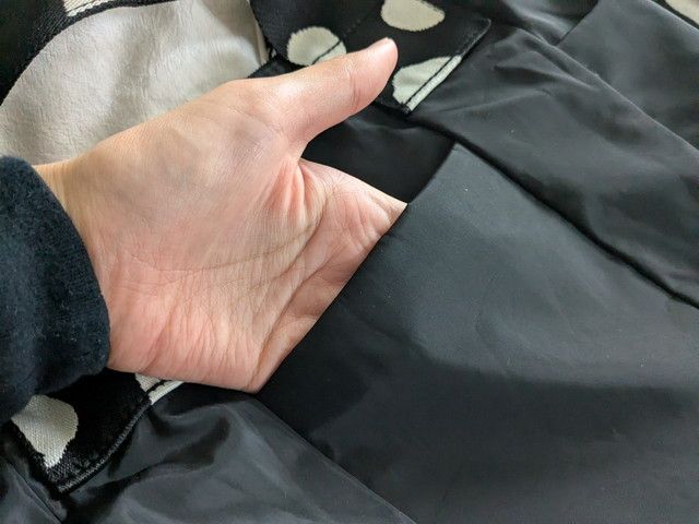 イアパピヨネダルメシアン2WAYバッグSサイズポケット