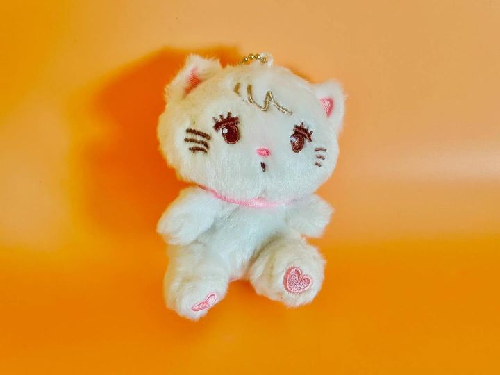 画像2: 出典：ftn_pics