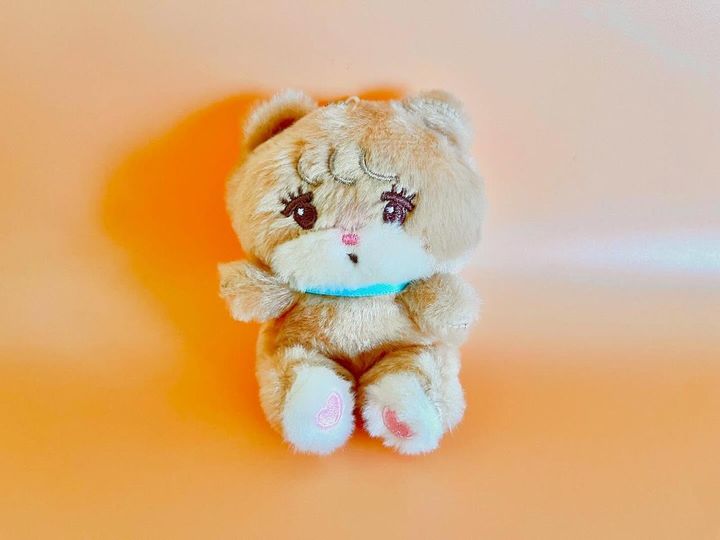 画像1: 出典：ftn_pics