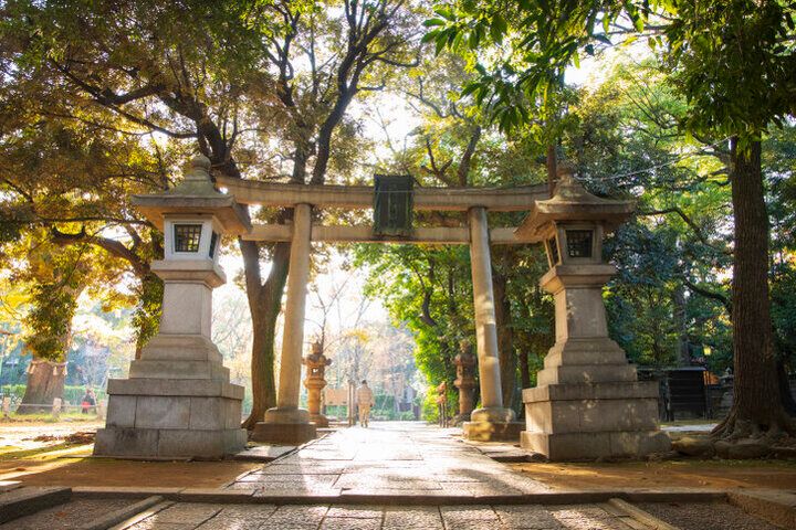 東京ひとり旅の楽しみ方。気ままに過ごす大人の自由時間