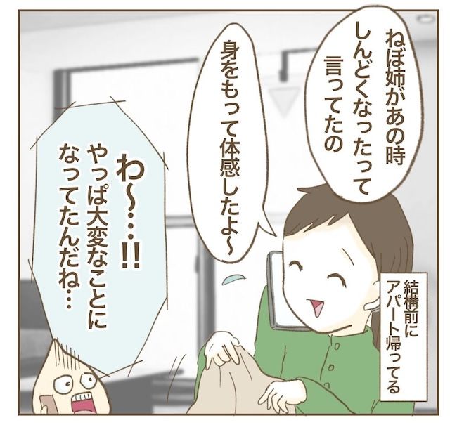 里帰り出産したら実姉がしんどかった件／ねぼすけ