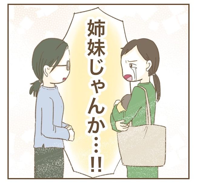 里帰り出産したら実姉がしんどかった件／ねぼすけ