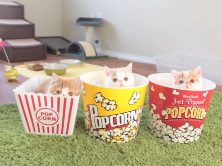 どうぞ召し上がれ！？