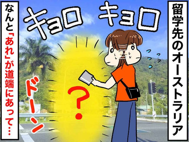 画像: オーストラリアで「なぜ道端にあるの（泣）」使うたびに『毎回ソワソワしていたもの』とは