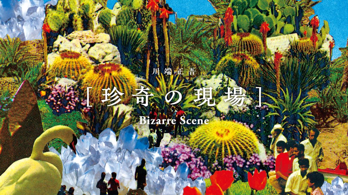 珍奇の現場】珍奇植物図鑑番外編「ブロメリア」 | TRILL【トリル】