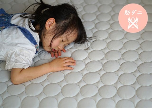 防カビ ソルベキルト ラグ