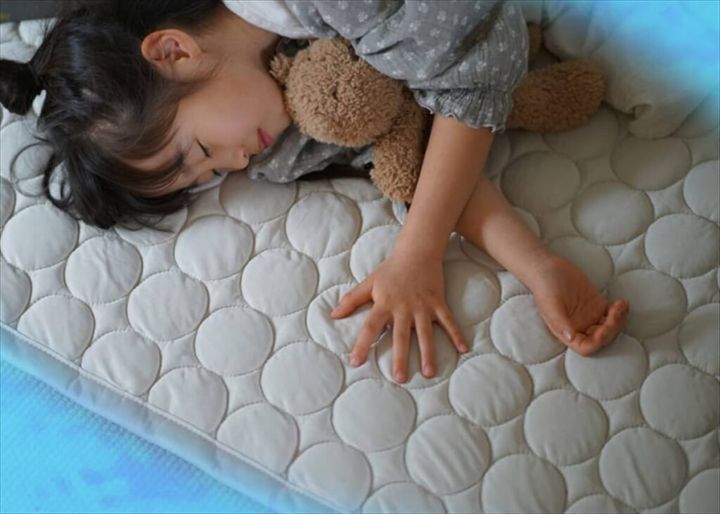 ソルベキルト ラグ