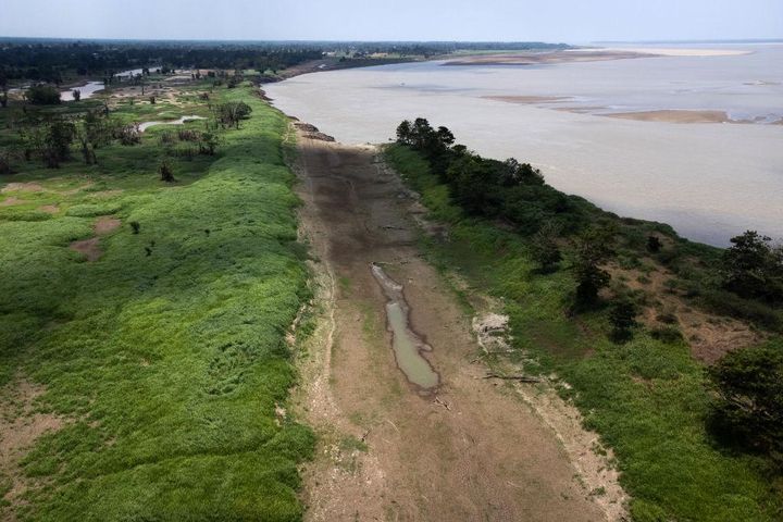 有望視されていた27歳ストライカーが不慮の死…森林地帯で遺体を発見か