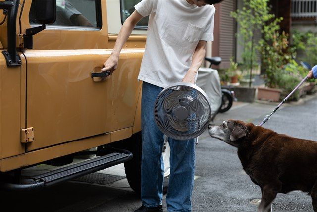 持ち運び自由自在なコードレスタイプ