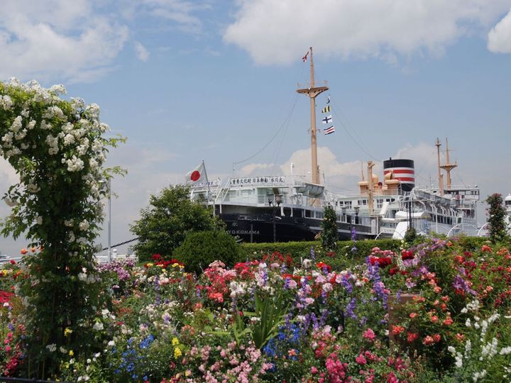  写真提供：横浜市都心部公園