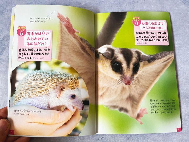 【ミニ図鑑】小学館の図鑑NEO 特別版 本物の大きさ図鑑