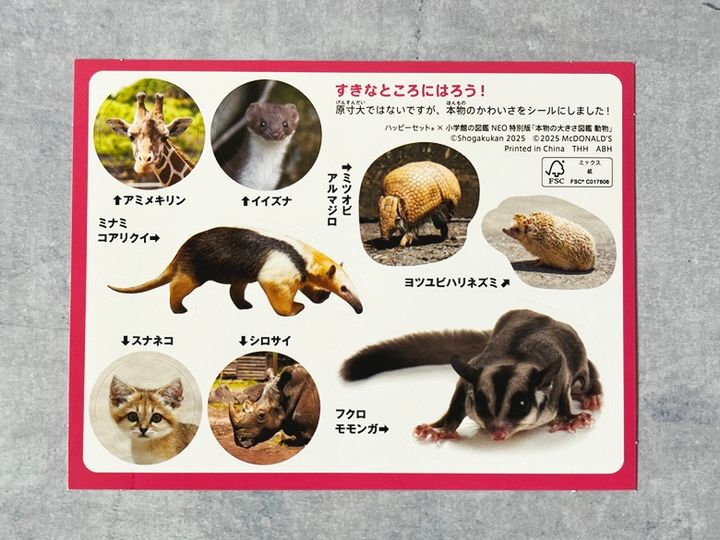 【ミニ図鑑】小学館の図鑑NEO 特別版 本物の大きさ図鑑