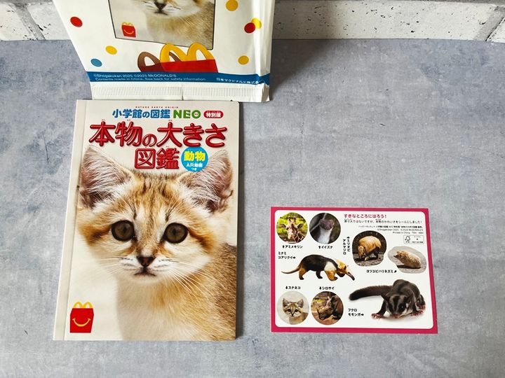 【ミニ図鑑】小学館の図鑑NEO 特別版 本物の大きさ図鑑