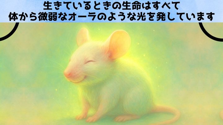 「オーラ」は科学で測れる？ 謎の微弱光と生存の関係