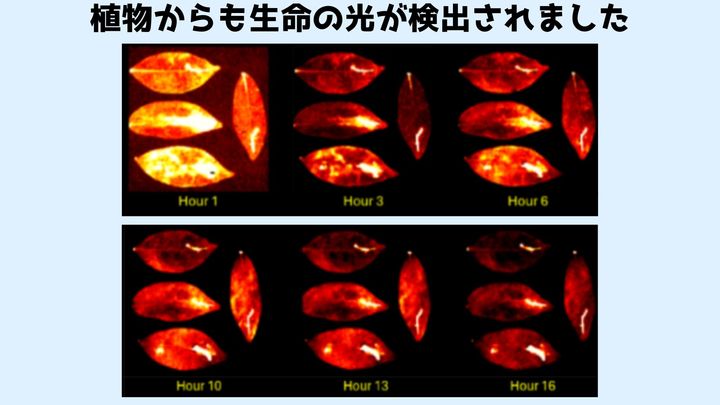 “生命センサー”としての可能性