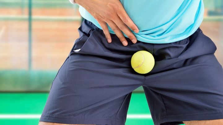 脳と睾丸の組織はかなり似ている