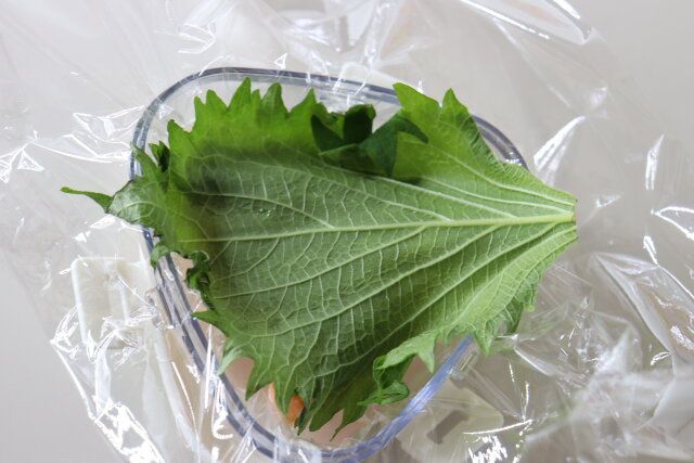 具のせおにぎりケース 具