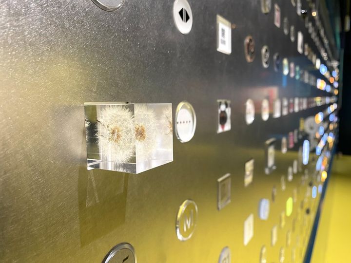 焼き芋を超えたおいしさ！ひとつひとつ全て手作り高尾ポテト【旅するデザイナーがおすすめするお土産たち！】