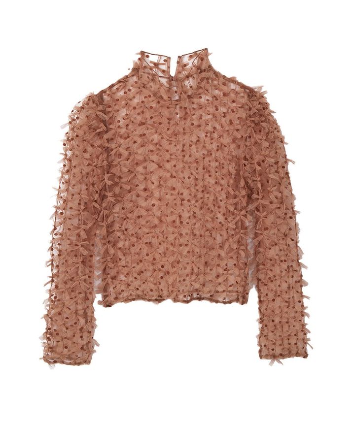 八木アリサとシースルー