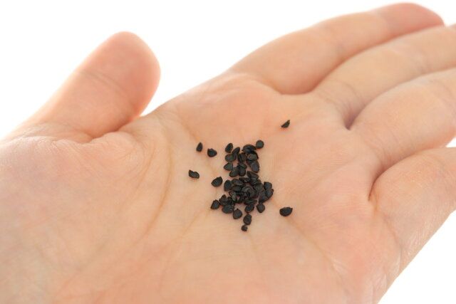 栽培セット細ねぎ 種