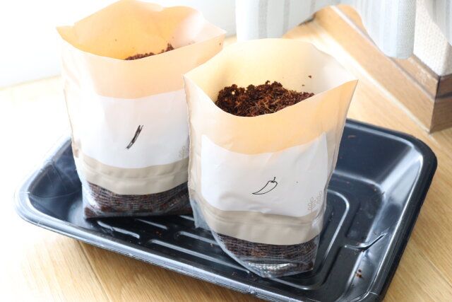 栽培セット細ねぎ 栽培