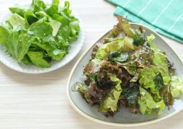 2種のレタスナムル
