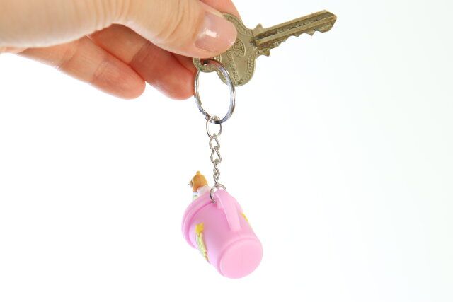 ダイソーのミニチュアみたいなキーホルダー