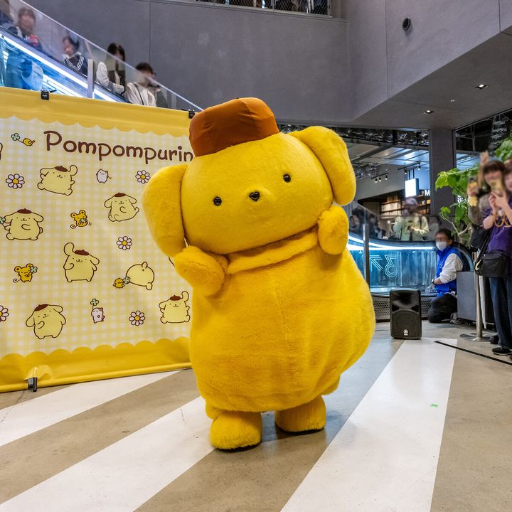 ⑤ポムポムプリン ぴょーんマスコット サンリオ POPUP限定