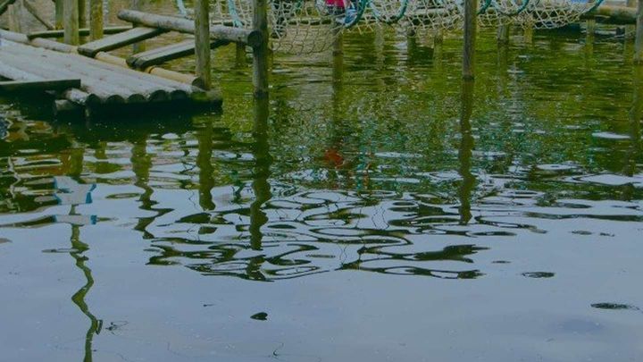 アスレチック施設に遊びに行ったら...（画像はイメージ）