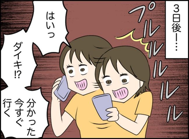 カボチャとシンデレラ／イルカ