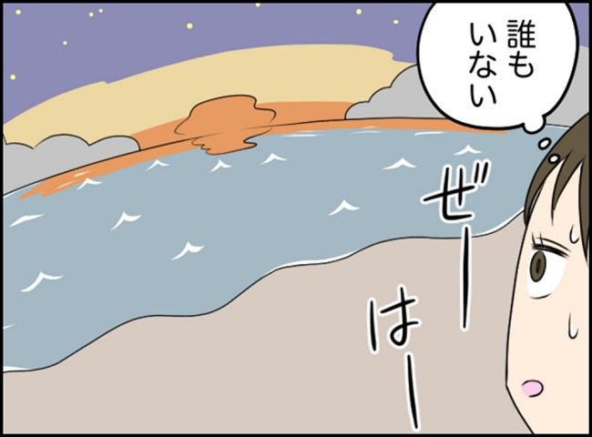 カボチャとシンデレラ／イルカ