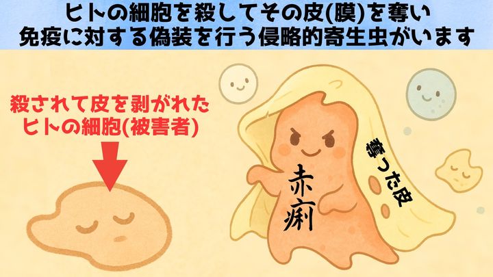 人間の細胞を殺しその膜をまとって偽装する侵略的寄生虫