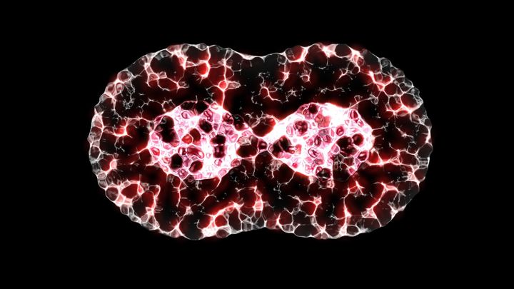 新しい「核分裂」を発見――超重元素の常識を崩壊させる予想外の分裂