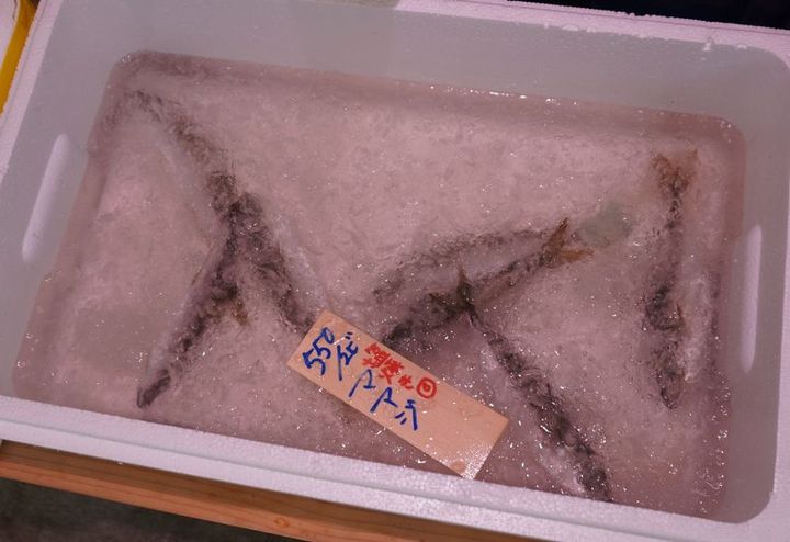 アジを含む青魚は劣化しやすい。魚屋の店頭では氷水でしっかりと冷やしてあるかどうかをチェックしたい