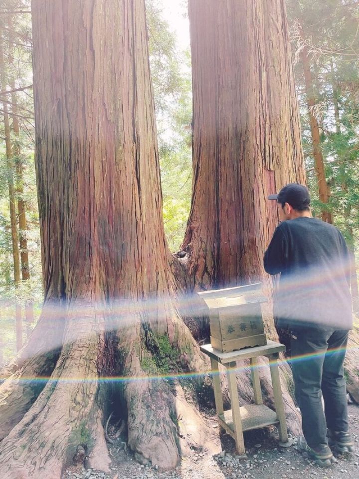 不思議な線が2本も！