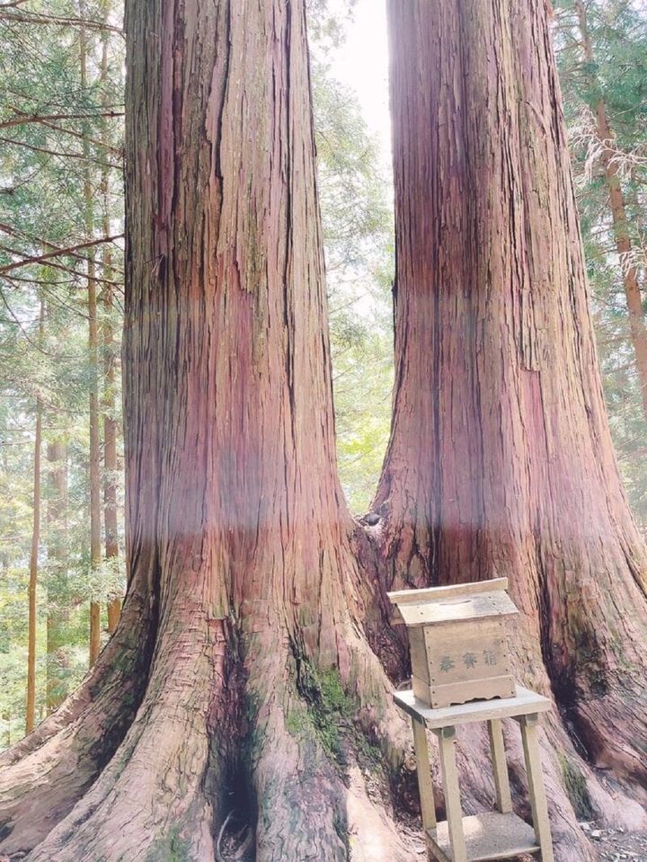 真ん中の白いフレアが神秘的