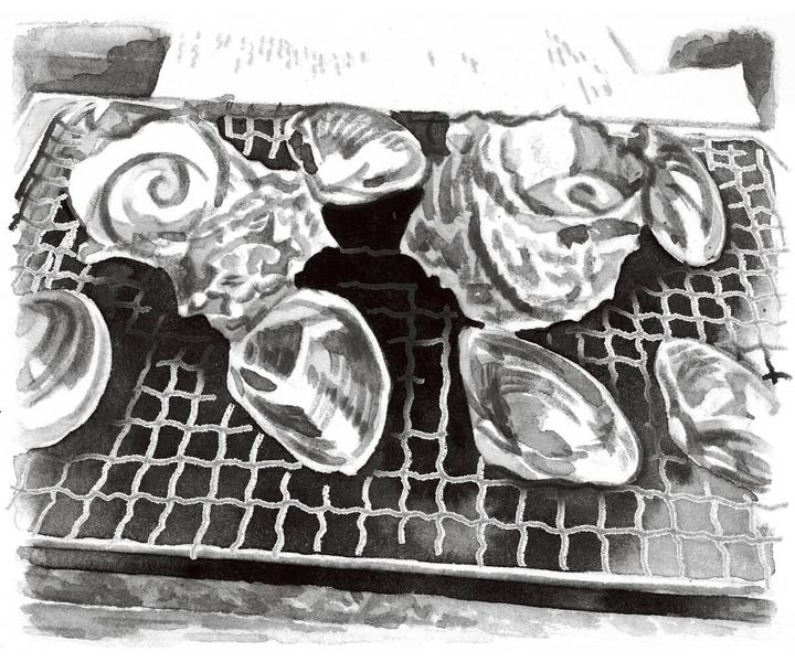 黒木仁史 イラスト