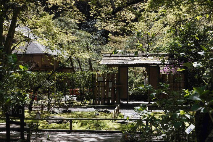 北鎌倉の名刹・明月院境内の茶屋「月笑軒」で水琴窟に耳を傾ける静寂なひととき