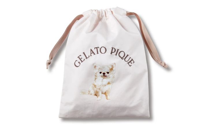 守屋麗奈さんのポーチの中身