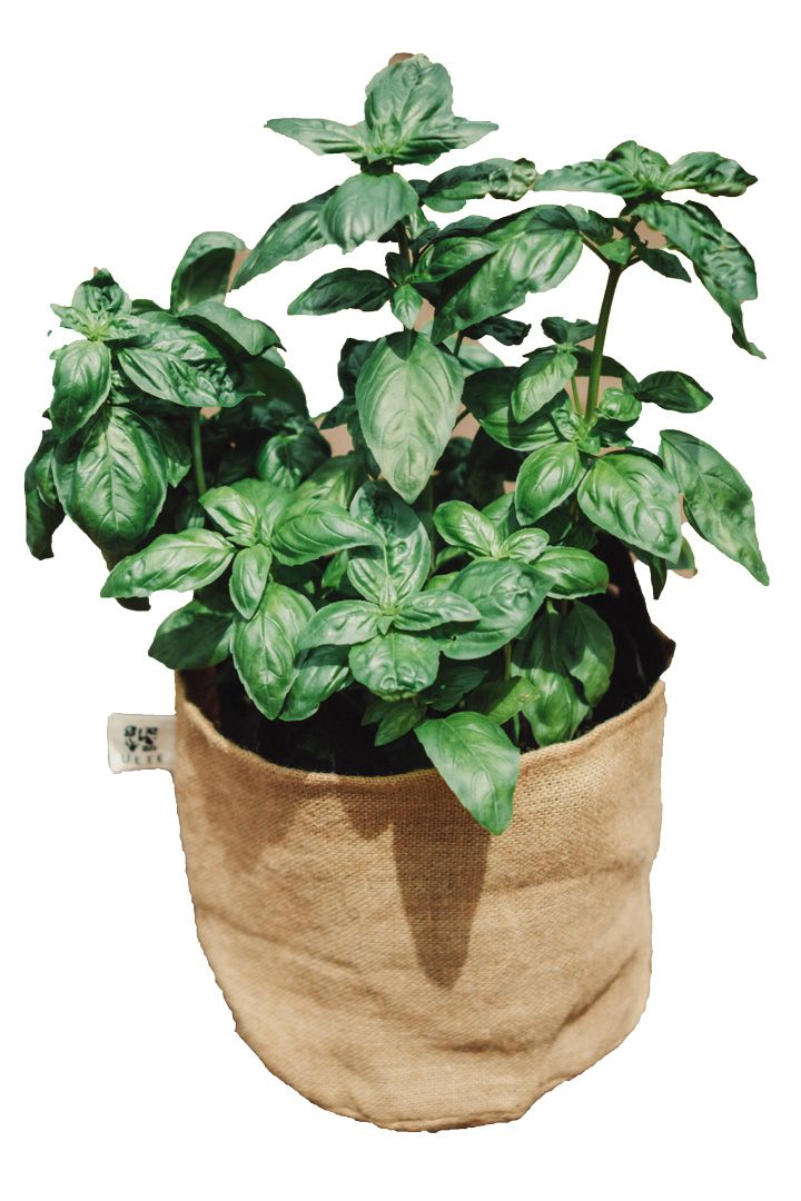 おしゃれな生活に憧れる！という方におすすめなインテリアたち