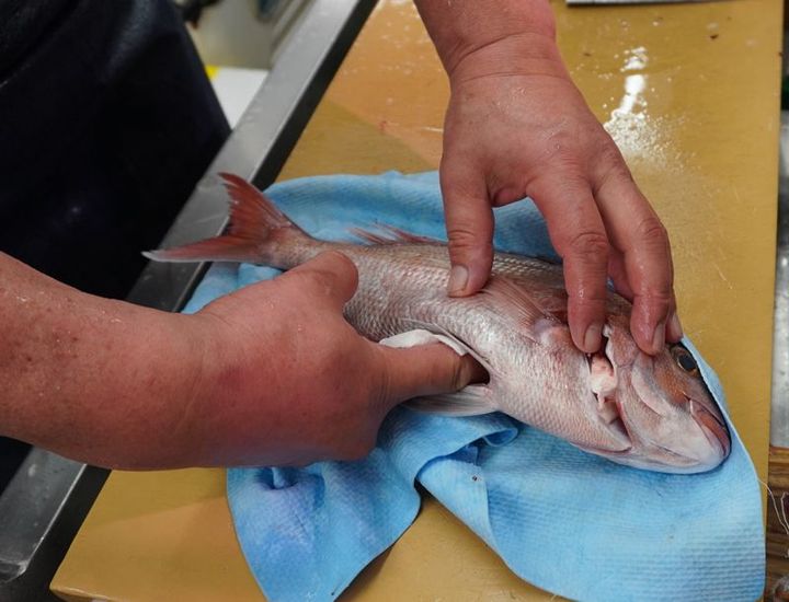 下処理を終えた魚は水分をよく拭き取り、内臓からエラ蓋にかけてキッチンペーパーを入れておくと、血やドリップ（魚に中から出てくる水分）を吸収して鮮度を保ちやすくなる