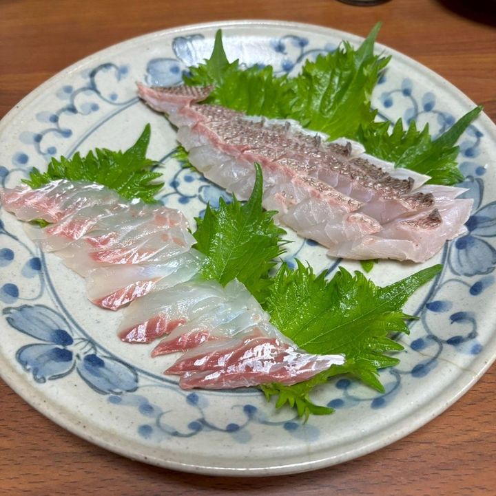 手前が腹側の刺身。奥が背側の湯霜造り。味も食感も異なるので、食べ比べてあれこれ品評するのが楽しい