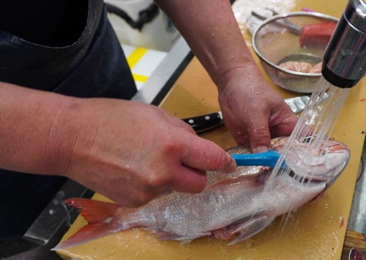 「魚の外側は、ヌル（表面のぬめり）・ヒレ・ウロコに雑菌が多く付いている。内側はエラ・腹（内臓）・血だね」。下処理でこれらをしっかり取り除くのが臭みを抑えて美味しく食べるコツだ、と上田さんは実演してくれた