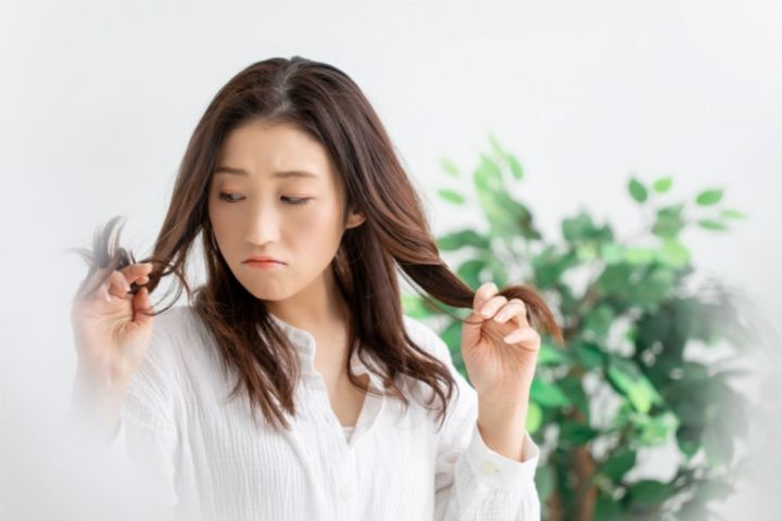 3人に1人が《春の抜け毛》に悩んでいる！？