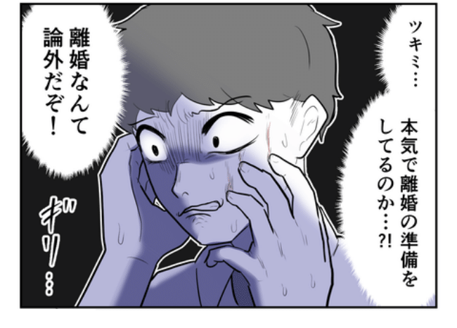 DINKS〜妻が子どもを欲しがらない〜／尾持トモ